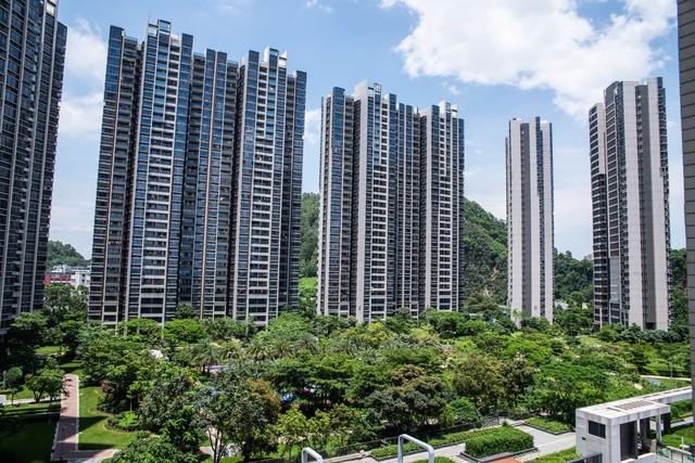 京東白條不分期怎么還，京東白條哪里還款？
