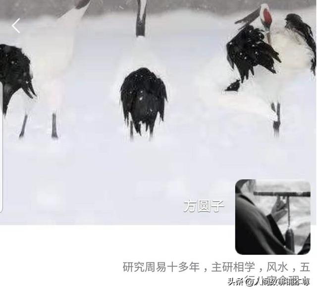 百度掃一掃測手相在哪，百度手相測試掃一掃？
